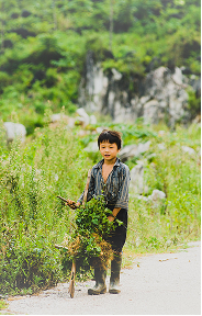 Faces and Places 12