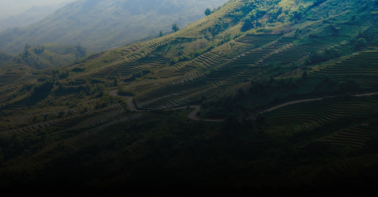 Photojournalism Background